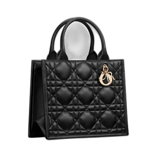 Small Dior Book Tote