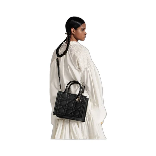 Small Dior Book Tote