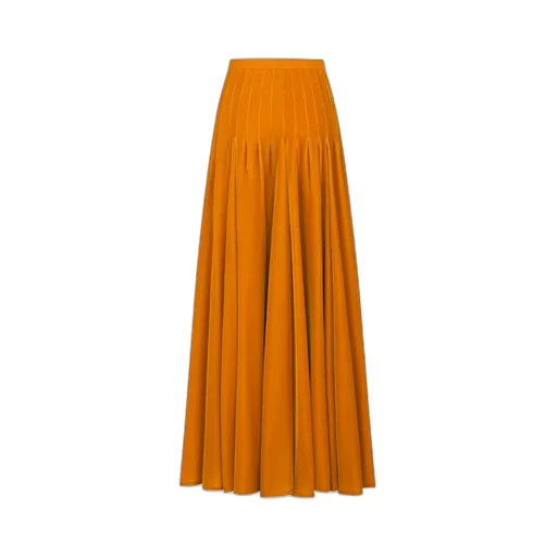 Long Flared Skirt