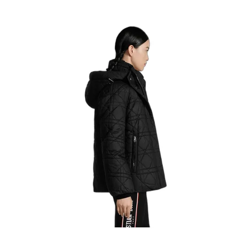 Macrocannage Hooded Down Jacket