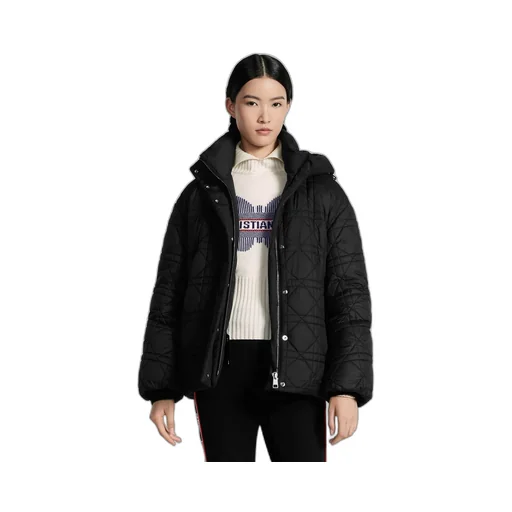 Macrocannage Hooded Down Jacket