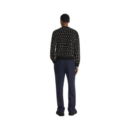 Pleated Pants