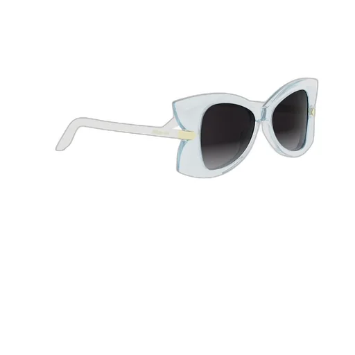 Butterfly Frame Sunglasses