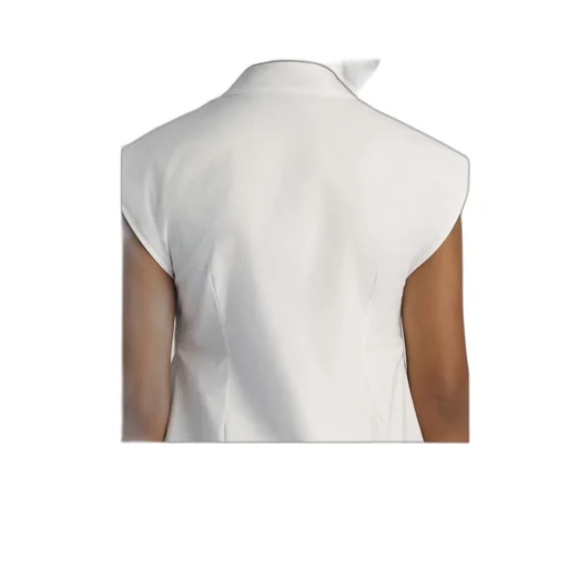 Officer Collar Dress