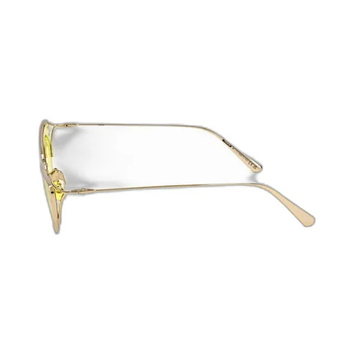 Triangle Frame Sunglasses