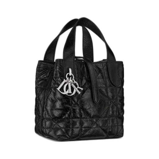 Toujours Vertical Nano Tote Bag