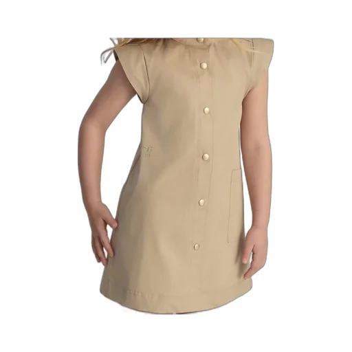 A-Line Dress