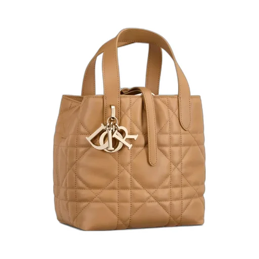 Dior Toujours Vertical Tote Bag