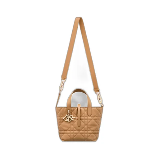 Dior Toujours Vertical Tote Bag