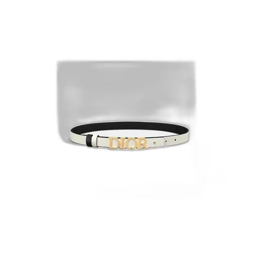 Reversible D-Dream Belt