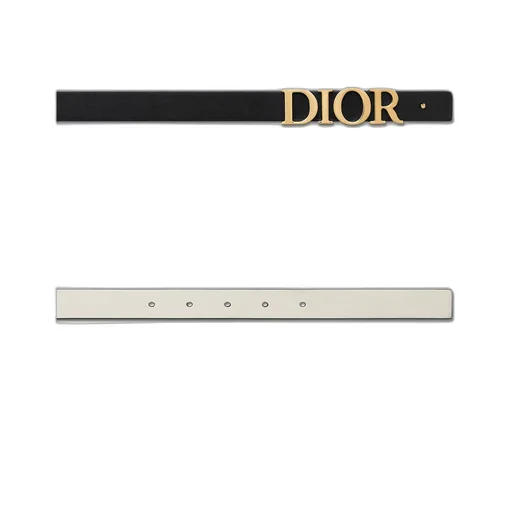 Reversible D-Dream Belt