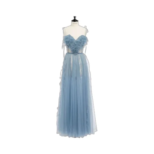 Long Evening Gown