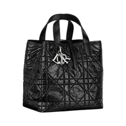Medium Dior Toujours Vertical Tote Bag