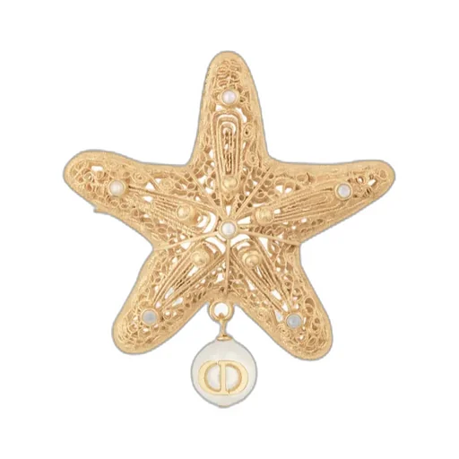 Cabinet De CuriositÉS Brooch