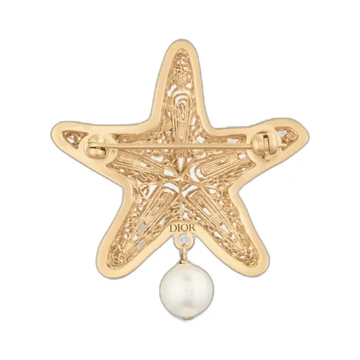 Cabinet De CuriositÉS Brooch
