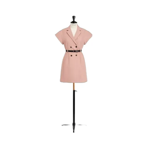 Short Belted Dress