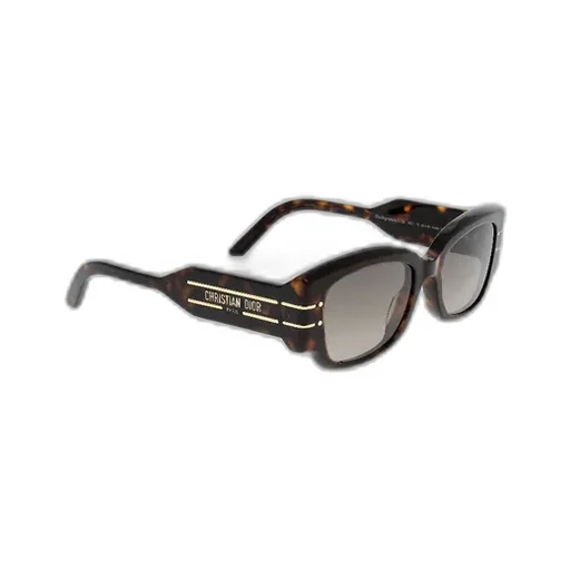 Diorsignature S13I Rectangle-Frame Sunglasses