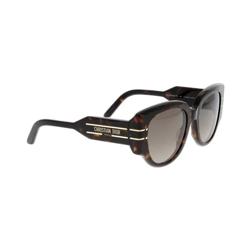 Diorsignature R2I Round Frame Sunglasses