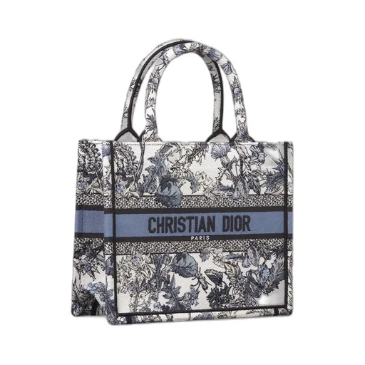Small Dior Book Tote