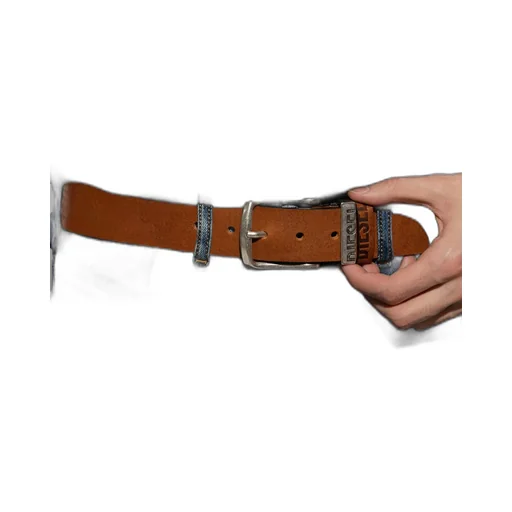 Logo B Visible Belt