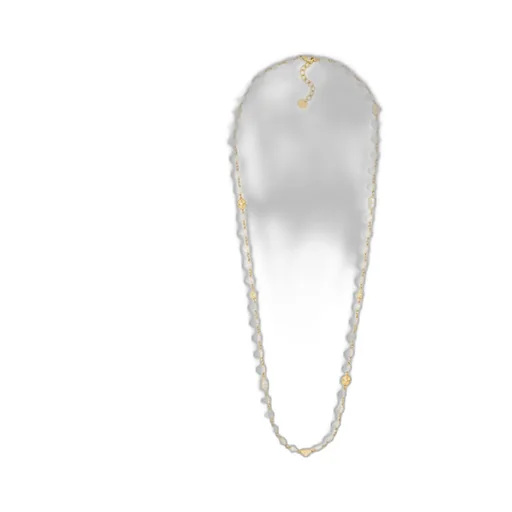 Lucky Dior Long Necklace