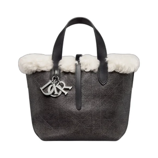 Alps Small Dior Toujours Vertical Bag