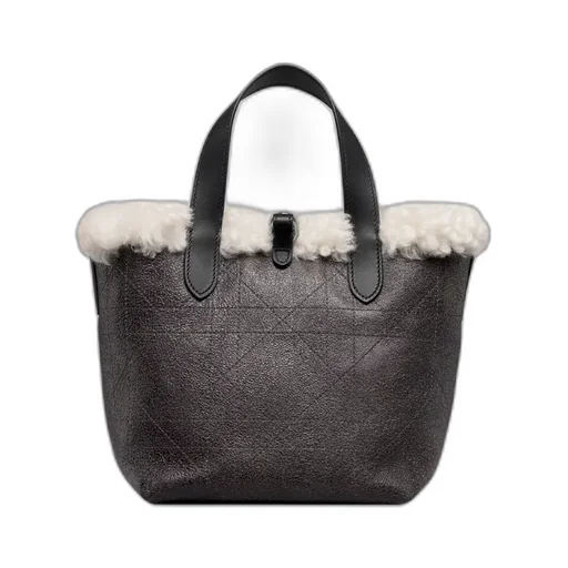 Alps Small Dior Toujours Vertical Bag