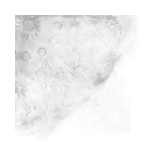 Astral Flowers Scarf