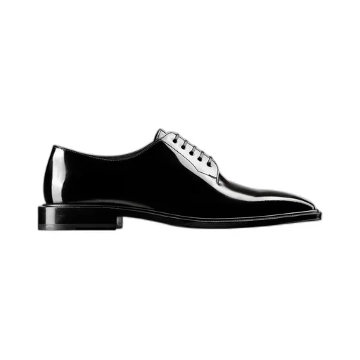 PalmarÈS Derby Shoe