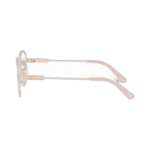 Diorcannageo R1U Oval Frame Glasses