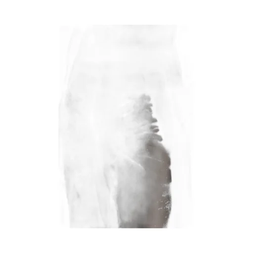 P-Stanly Burn-Out Trousers