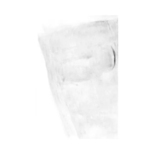 D-Shorty-Fse Peel-Off Denim Shorts