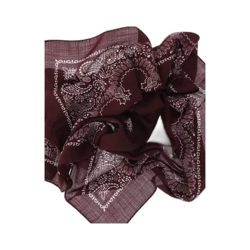 Paisley Print Scarf