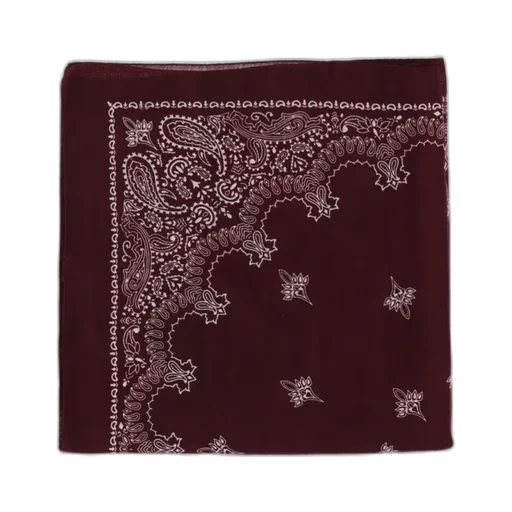 Paisley Print Scarf