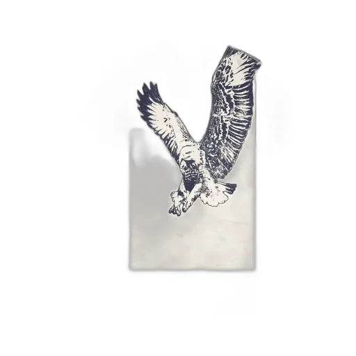 T-Boxt-T14 Eagle-Print Camouflage T-Shirt