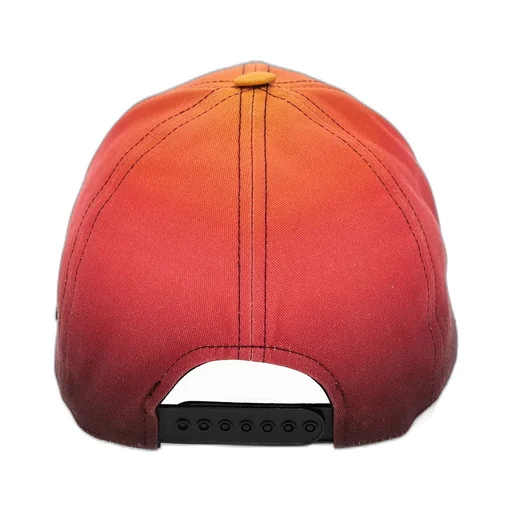 Logo Embroidered Gradient Baseball Cap