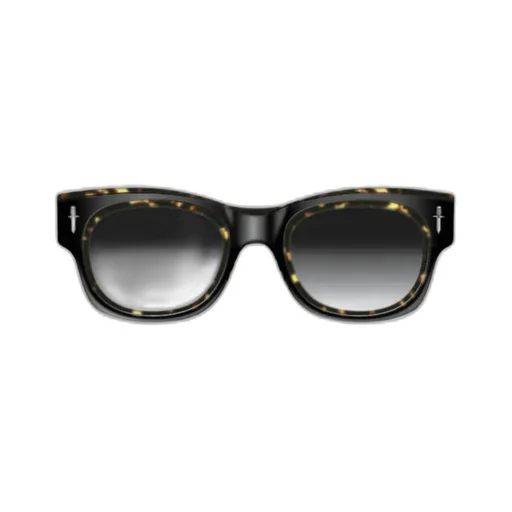 Full Frame Sunglasses