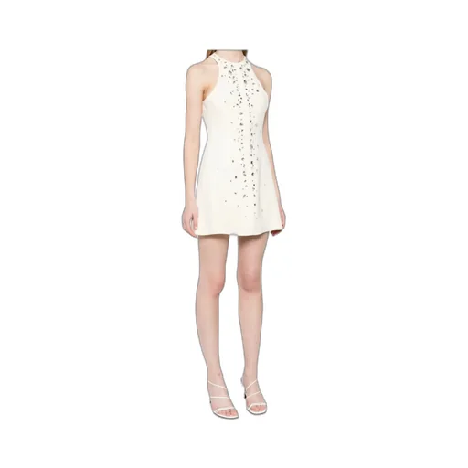 Crystal-Embroidered Mini Dress