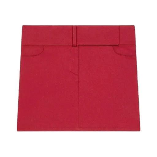 Belted Mini Skirt