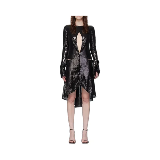 Zipped Ellipse Glitter Dress