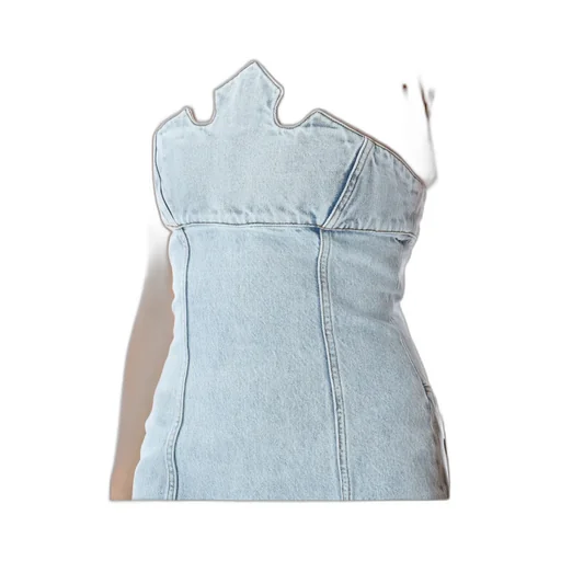 Mini Denim Dress