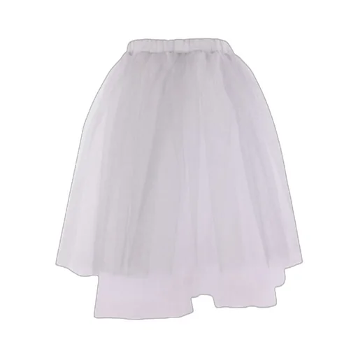 Mesh Skirt