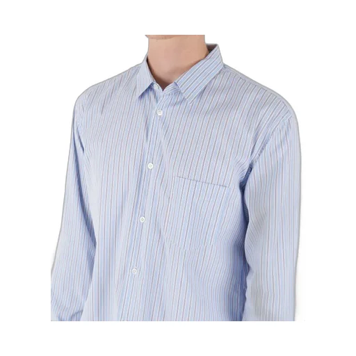 Striped Shirt