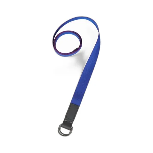 Logo Belt