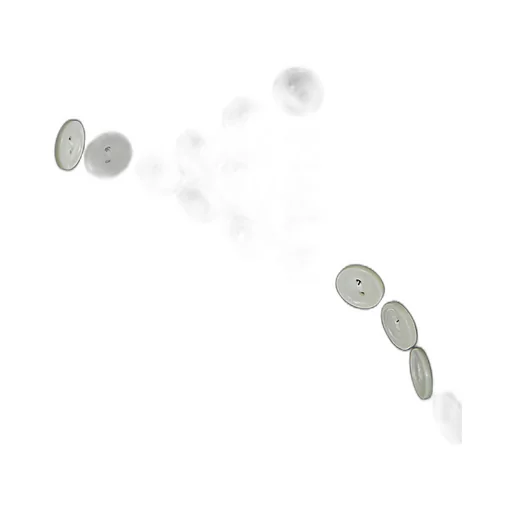 Button Detailed T-Shirt