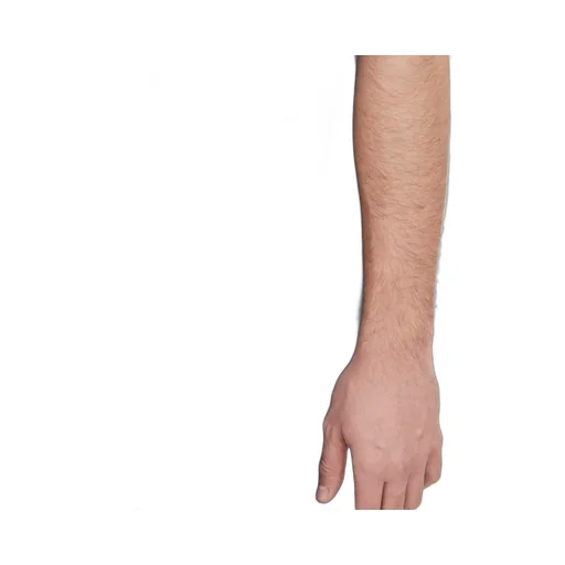 Short-Sleeved T-Shirt