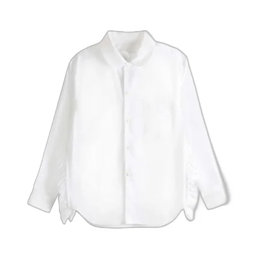Ruffled Sleeve Blouse