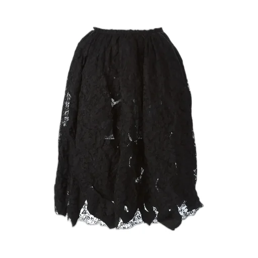 Reversible Lace Skirt
