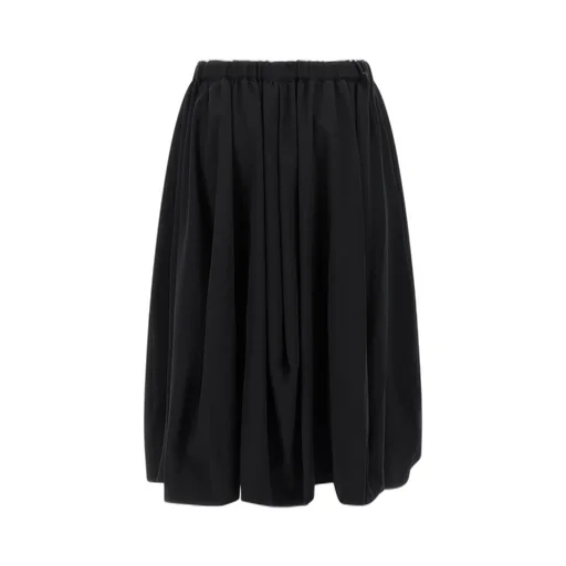 Pleated Skirt