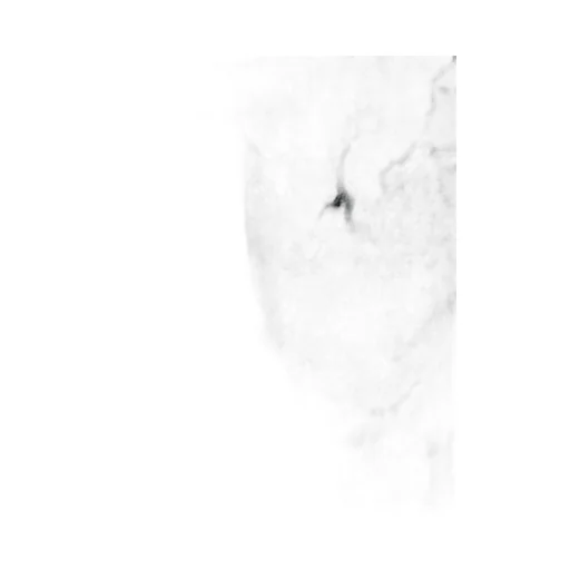 Landscape Print V-Neck Top